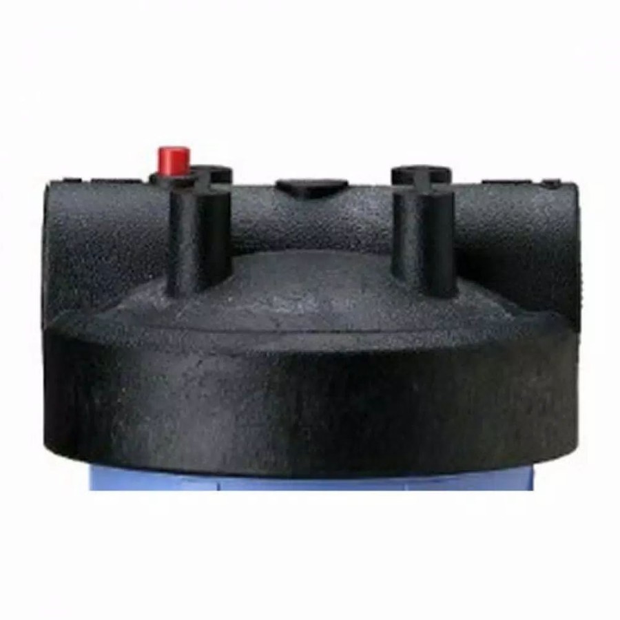 Water Filters * | Water Filter Parts Pentek Filter Housing Cap With Pressure Relief Button In Black